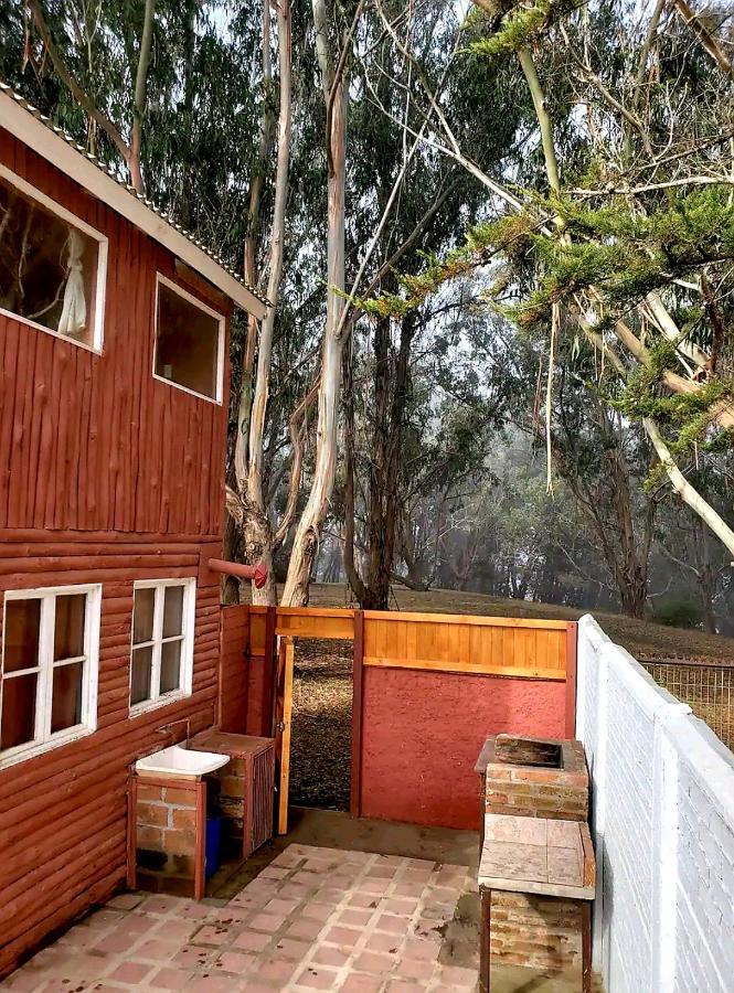Cabana Con Tinaja Caliente, Quincho Y Pet Friendly Isla Negra Екстер'єр фото
